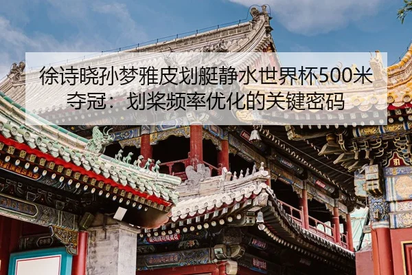 xu-shi-xiao-sun-meng-ya-pi-hua-ting-jing-shui-shi-jie-bei-mi-duo-guan-hua-jiang-pin-lv-you-hua-de-guan-jian-mi-ma-2-867.jpg
