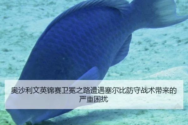 奥沙利文英锦赛卫冕之路遭遇塞尔比防守战术带来的严重困扰