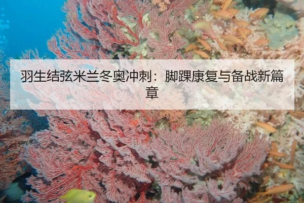 羽生结弦米兰冬奥冲刺：脚踝康复与备战新篇章